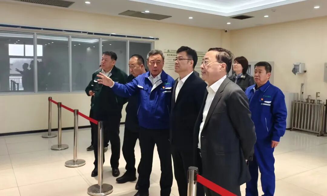 深耕绿色循环  践行企业担任——918.com集团全力推动项目建设 积极响应区长调研部署(图2)